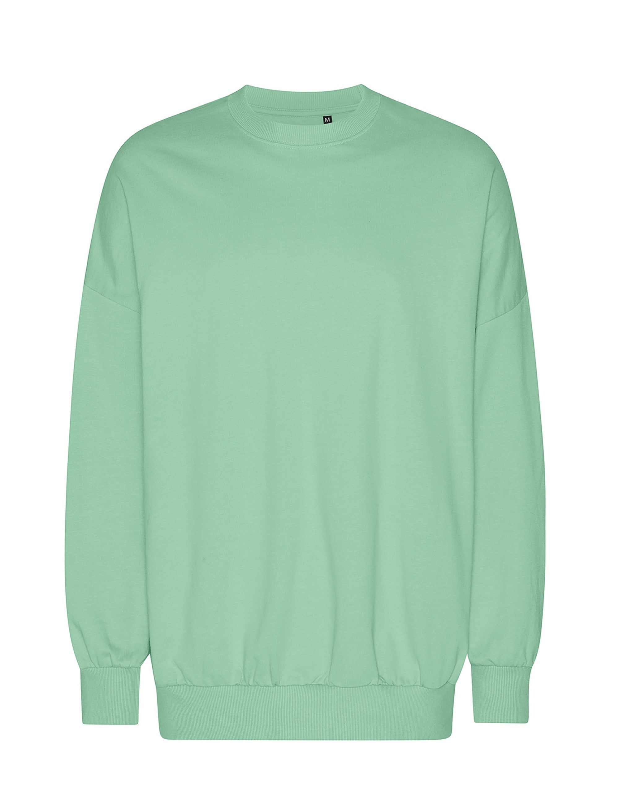 T63011 TIGER COTTON OVERSIZED SWEATSHIRT