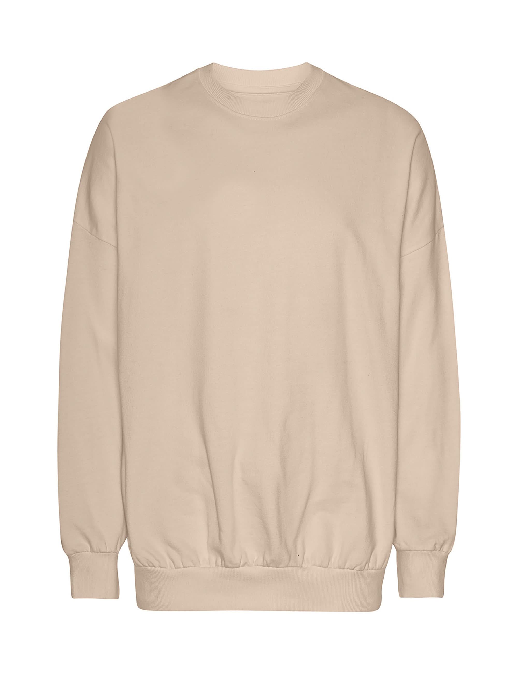 T63011 TIGER COTTON OVERSIZED SWEATSHIRT