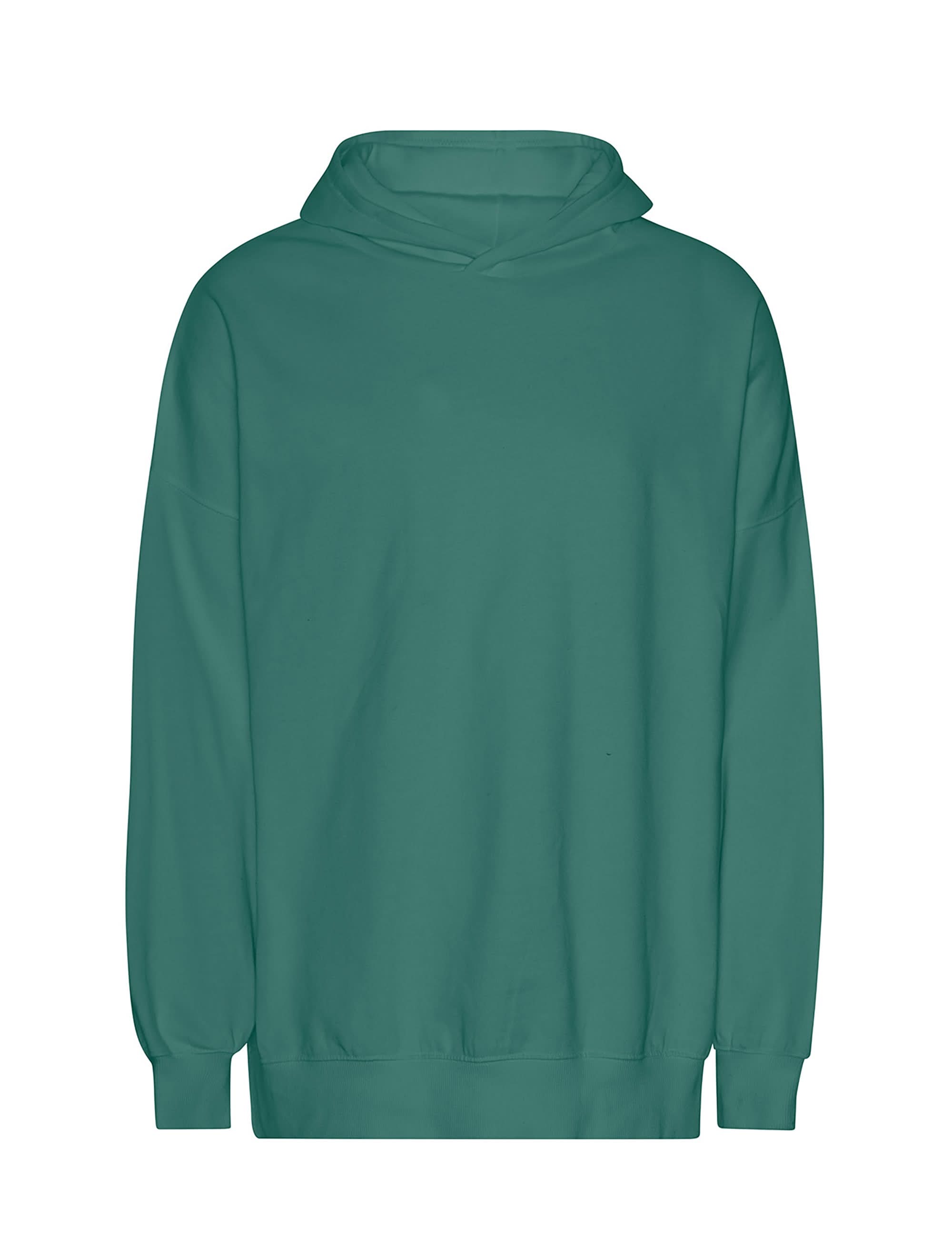 T63111 TIGER COTTON OVERSIZED HOODIE