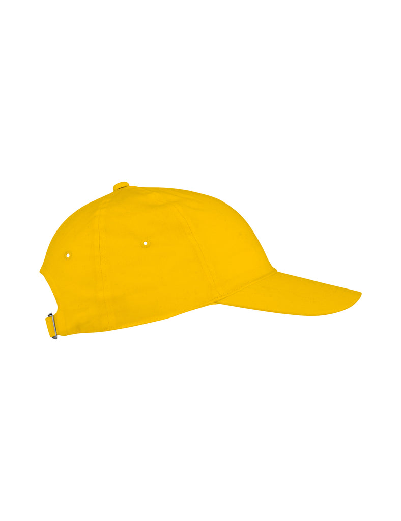 O93091 6 PANEL CAP
